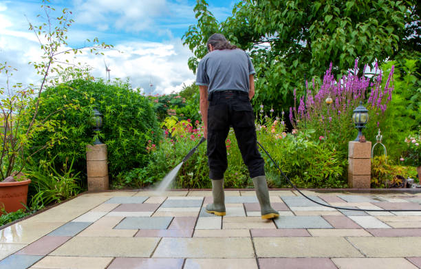 Trusted French Camp, CA Pressure Washing Services Experts