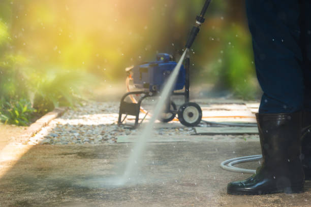 Best Solar Panel Cleaning  in French Mp, CA